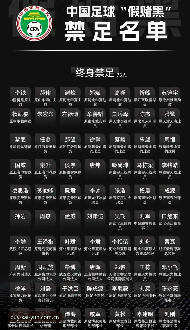 开云官网入口安装教程 足协第三批禁足名单深度解读:从案例看中国足球反腐操作教程
