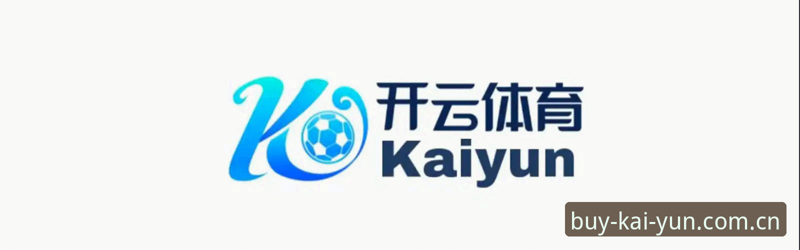 kaiyun购买平台使用指南：2026新版开云官方下载对比与完整攻略